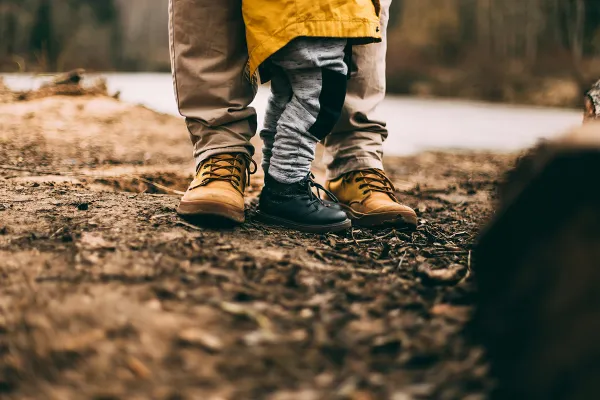child-custody-laywer-consultation-process