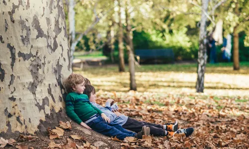 How to Choose a Denver Child Custody Lawyer: What You Need to Know