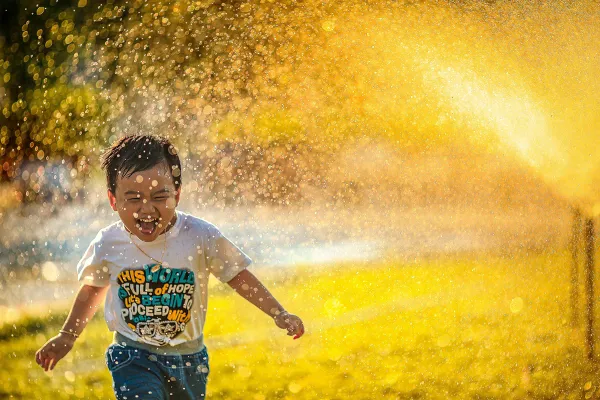 how-to-prepare-for-divorce-with-children