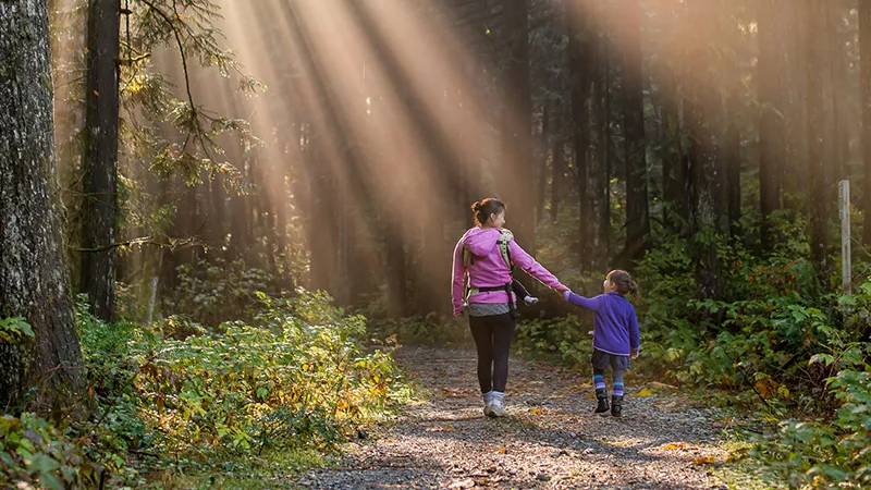 Child Custody & Parenting Time